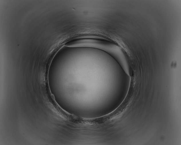 X0000091730585200708241415