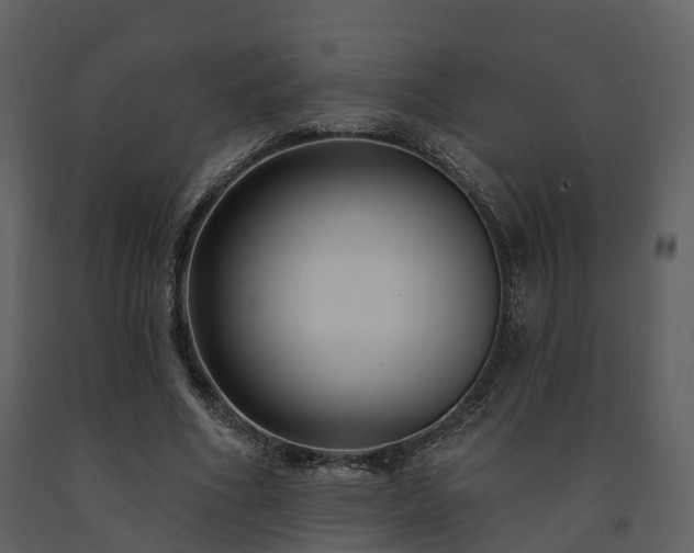 X0000091730586200708241415