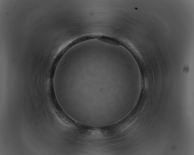 X0000091730588200708241415