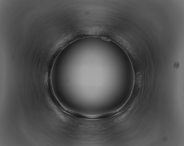 X0000091730589200708241414