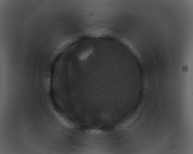 X0000091730590200708241414