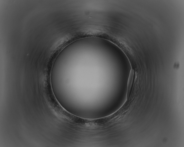 X0000091730591200708241414
