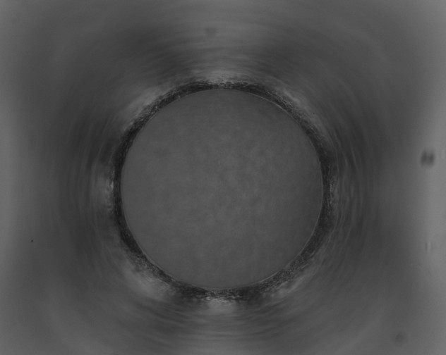 X0000091730592200708241414