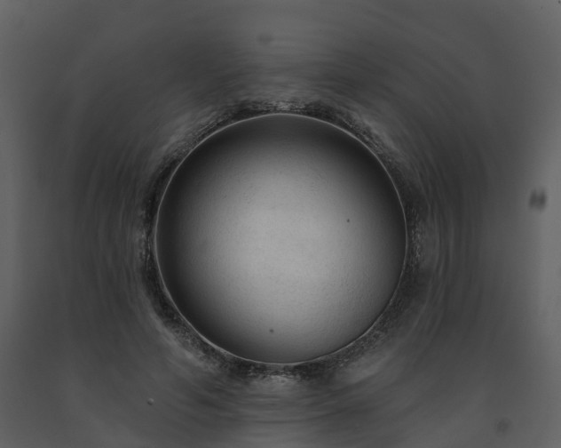 X0000091730594200708241414