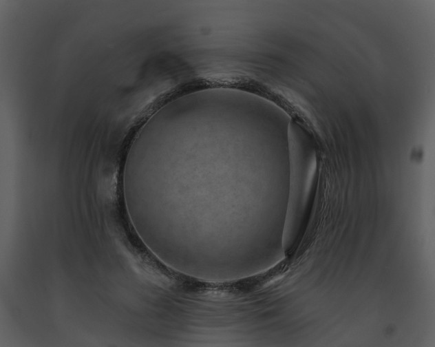 X0000091730596200708241414