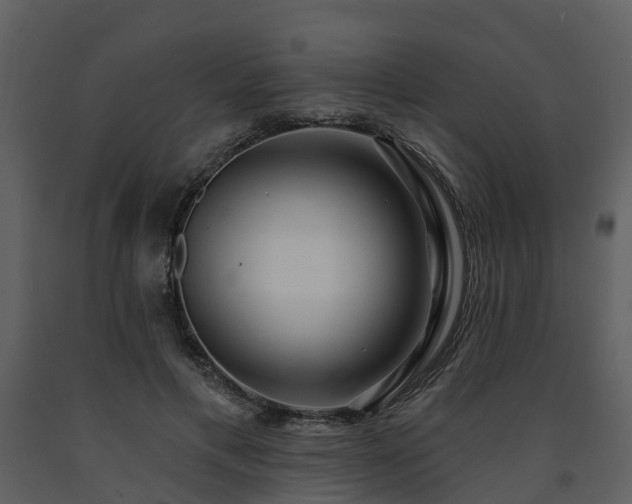 X0000091730597200708241414