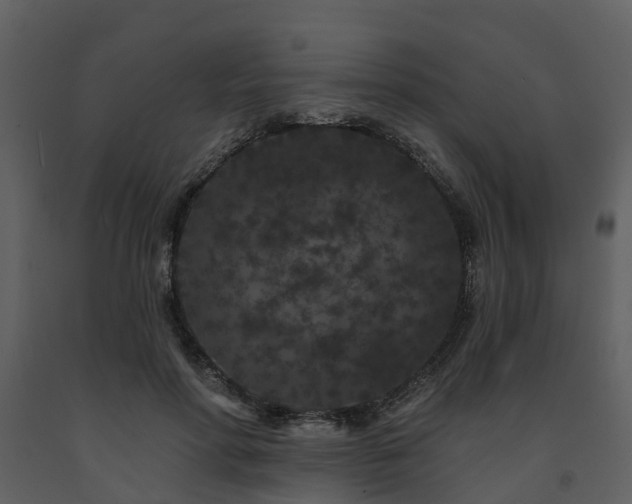 X0000091730598200708241414
