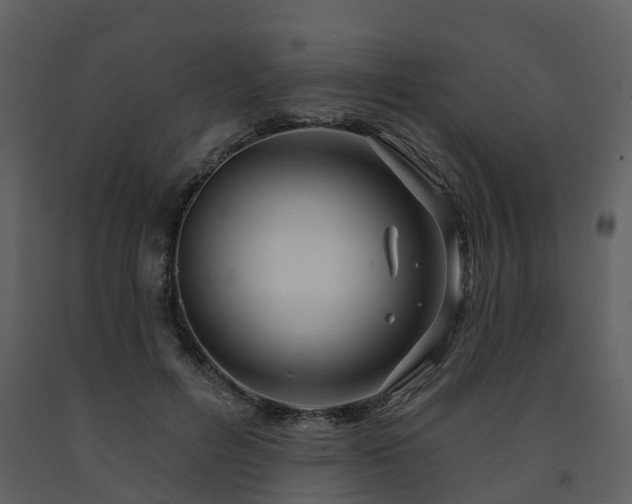 X0000091730600200708241414