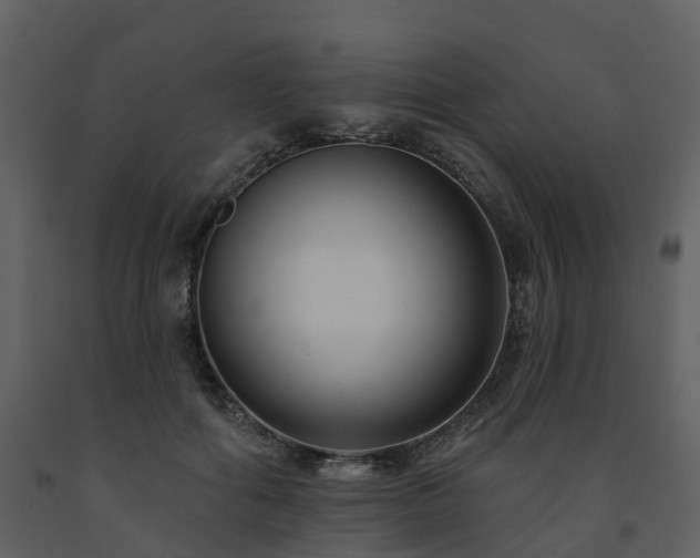 X0000091730602200708241414