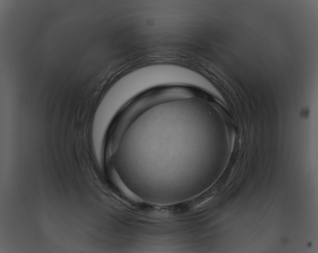 X0000091730604200708241414