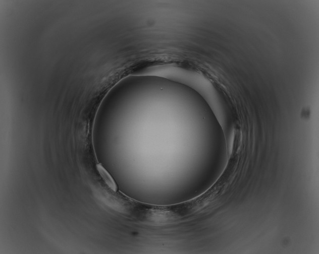 X0000091730605200708241414