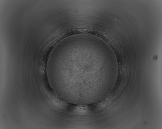 X0000091730606200708241414