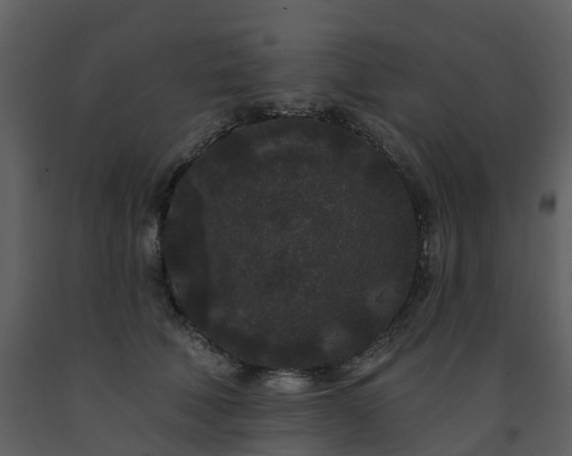 X0000091730610200708241414