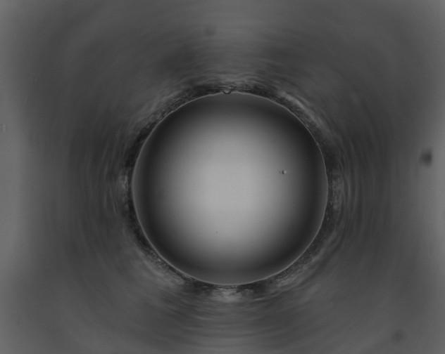 X0000091730613200708241414