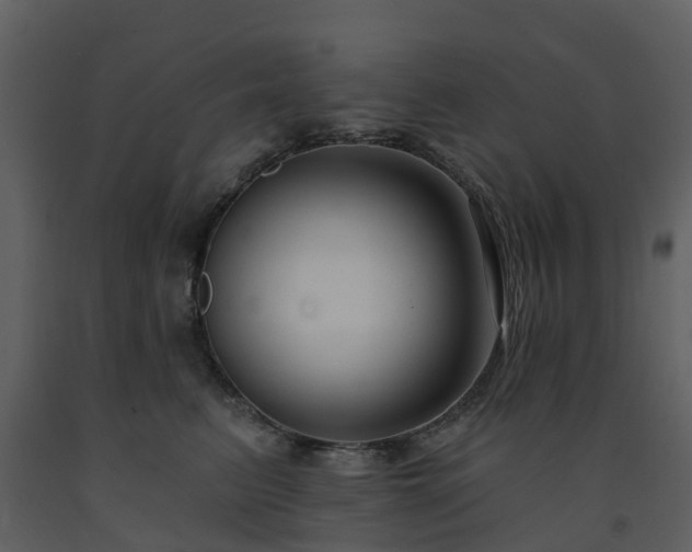 X0000091730615200708241414