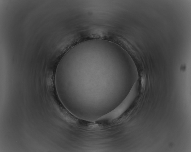 X0000091730616200708241414