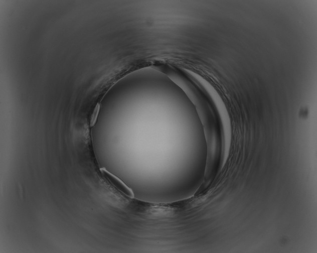 X0000091730617200708241414