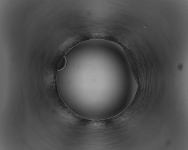 X0000091730619200708241414