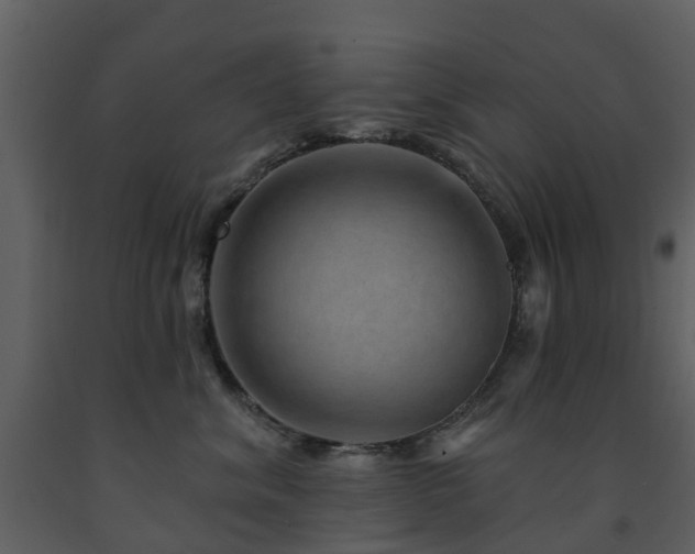 X0000091730620200708241414