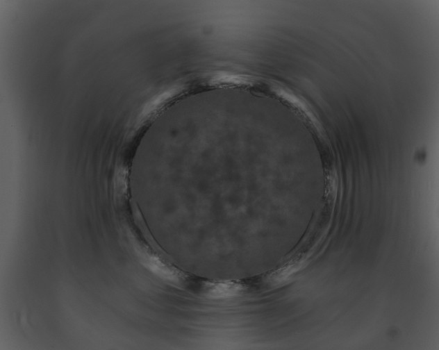 X0000091730621200708241414