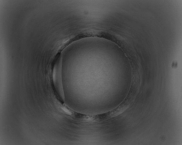 X0000091730624200708241414