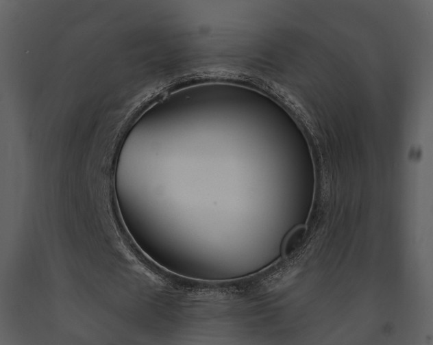 X0000091730625200708241413