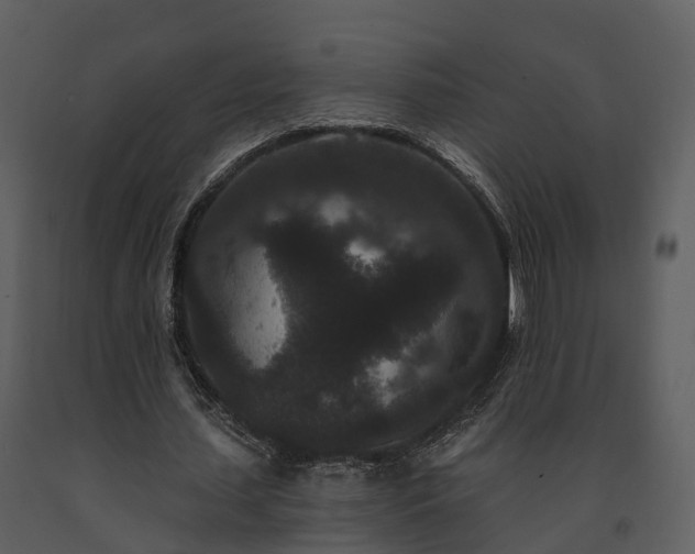 X0000091730627200708241413