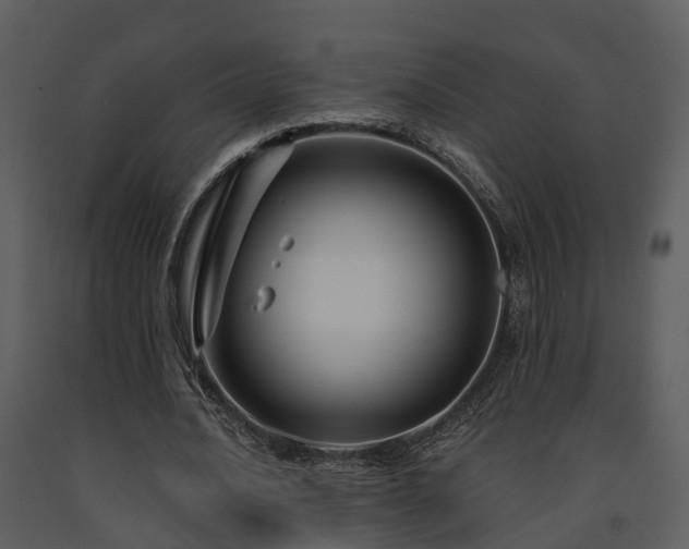 X0000091730628200708241413