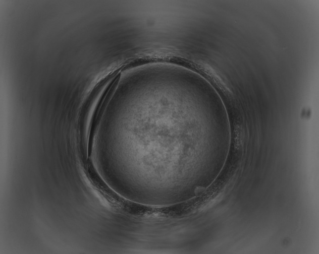 X0000091730634200708241413