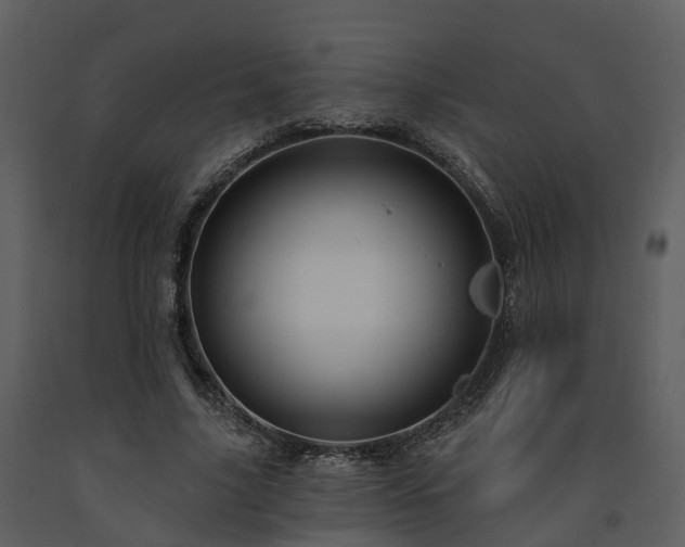 X0000091730635200708241413