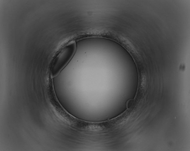 X0000091730636200708241413