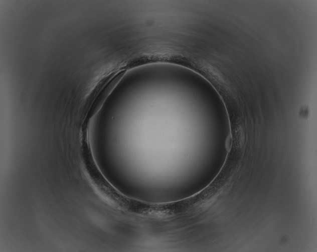 X0000091730638200708241414