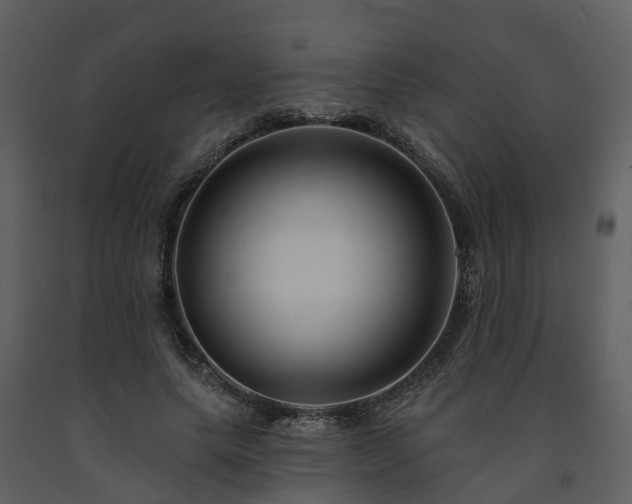 X0000091730639200708241414