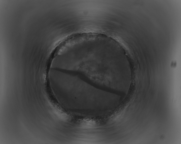 X0000091730640200708241414