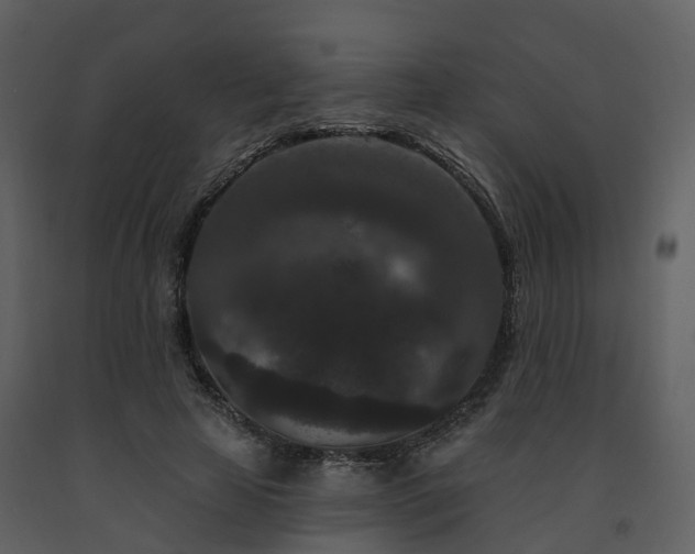 X0000091730641200708241414