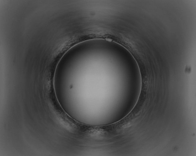 X0000091730642200708241414