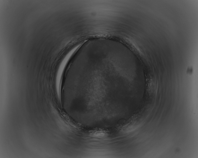X0000091730643200708241414