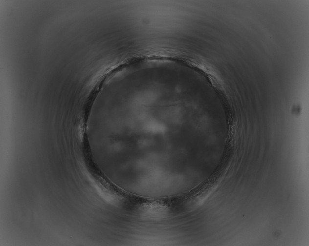 X0000091730644200708241414