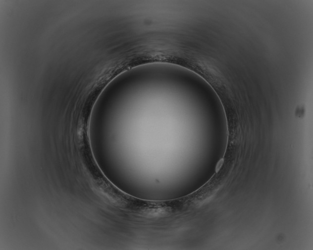 X0000091730646200708241414