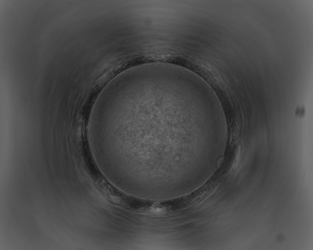 X0000091730647200708241414