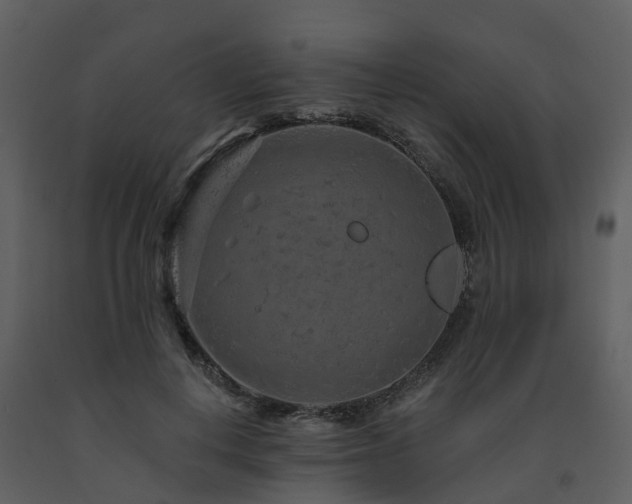X0000091730648200708241414