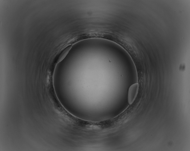 X0000091730649200708241414