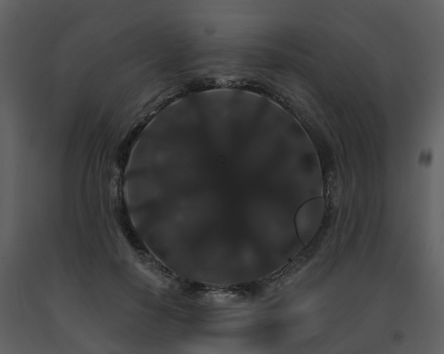 X0000091730650200708241414
