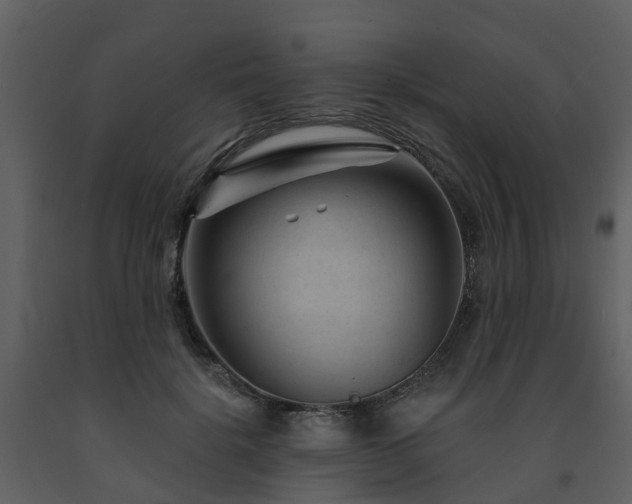 X0000091730652200708241414