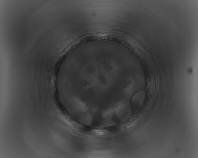 X0000091730654200708241414