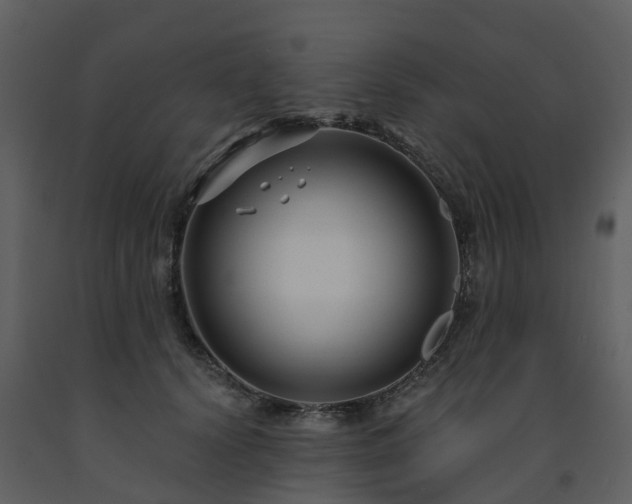 X0000091730656200708241414