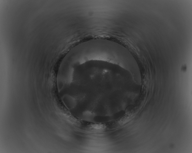 X0000091730659200708241414