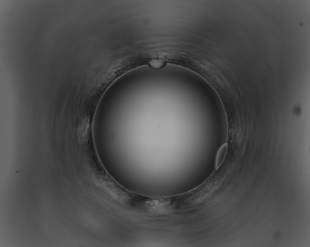 X0000091730660200708241414