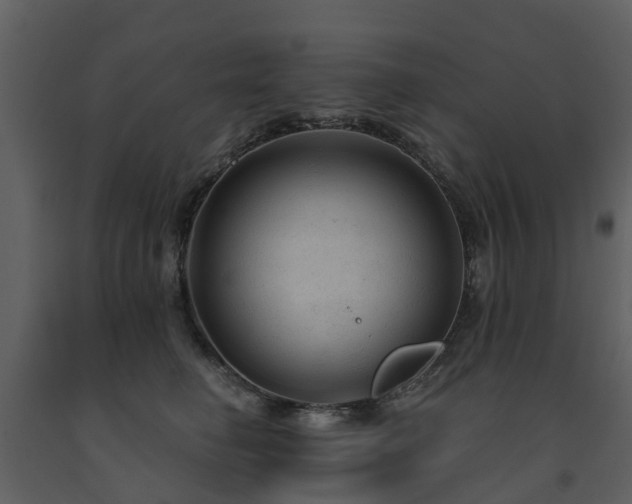 X0000091730662200708241414