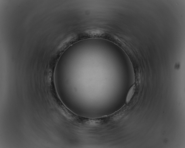 X0000091730664200708241414